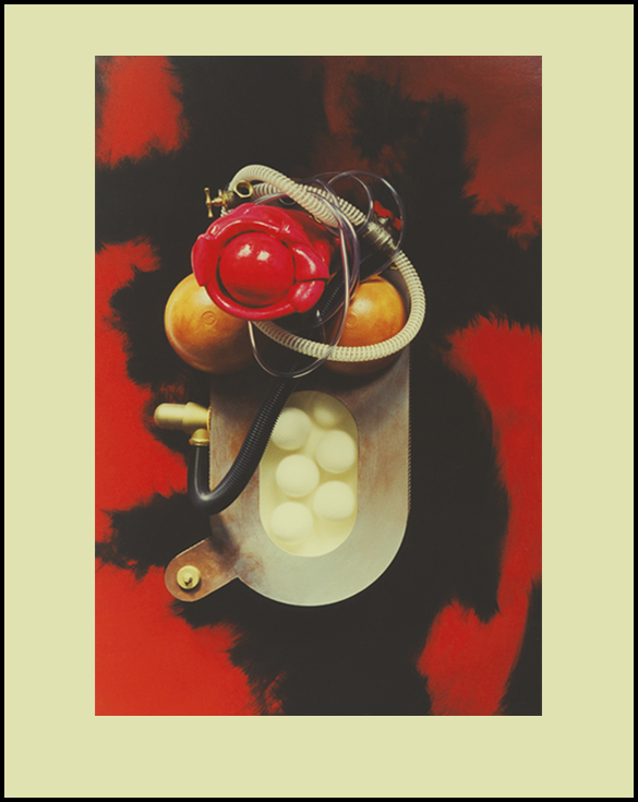 Machine à procréer - 89 x 130 - Tuyaux et carton sur toile